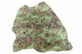 Pyrope, Forsterite, Diopside & Omphacite Slice - Norway #265169-1